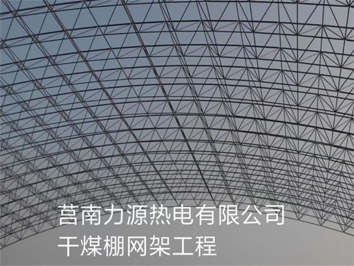 乐陵力源热电有限公司干煤棚网架工程